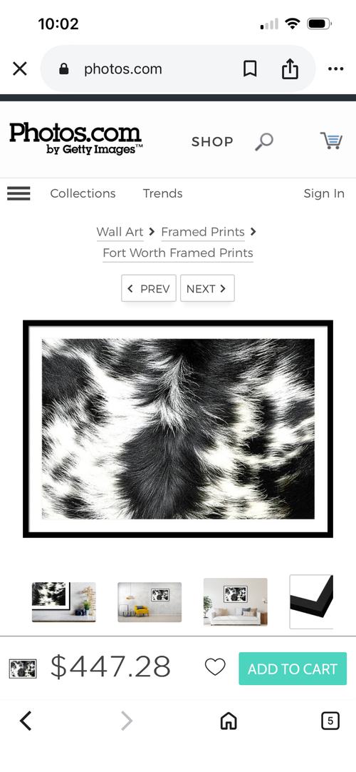 Longhorn Cattle Fur Hair Designs Framed Print- Getty Images by David Kozlowski by David Kozlowski