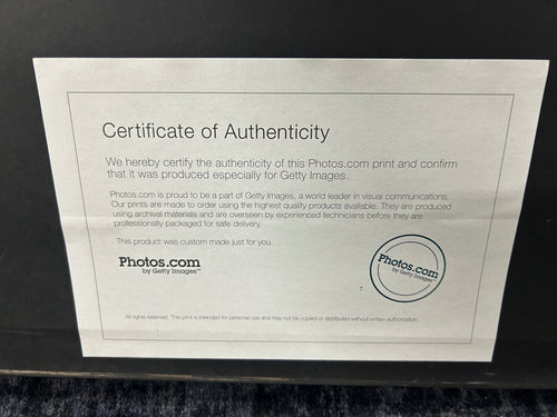 Longhorn Cattle Fur Hair Designs Framed Print- Getty Images by David Kozlowski by David Kozlowski