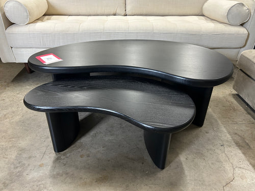 Neah 49" Nesting Coffee Table Set - Black