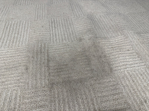 Clyde 8 X 10 Wool Rug - Textured Ivory
