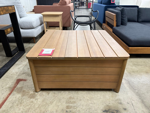 Elise 34.75" Outdoor Storage Coffee Table - Light Eucalyptus